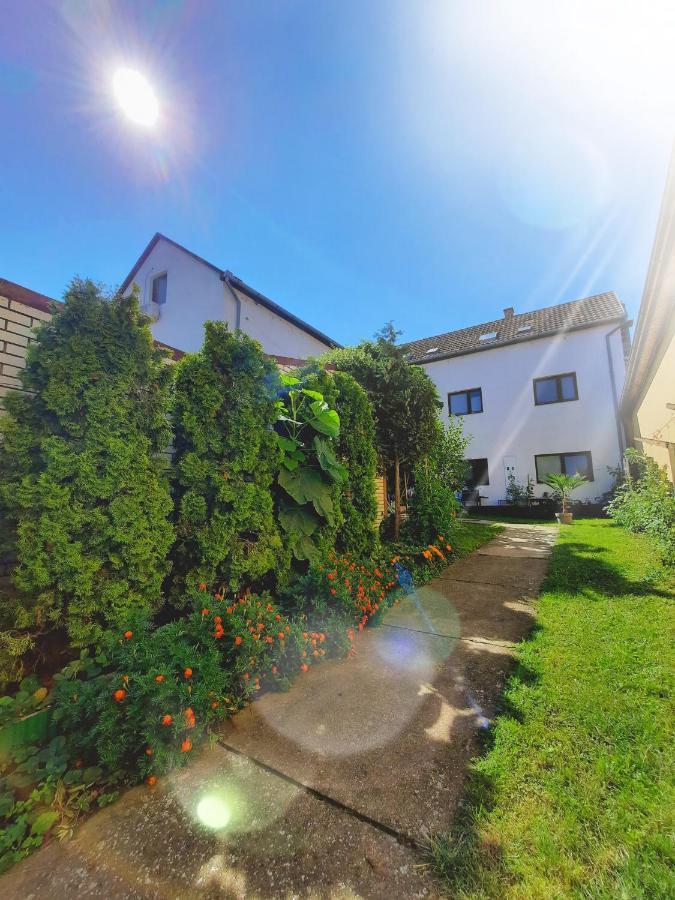 Apartmani Sunflower Sremski Karlovci Eksteriør billede