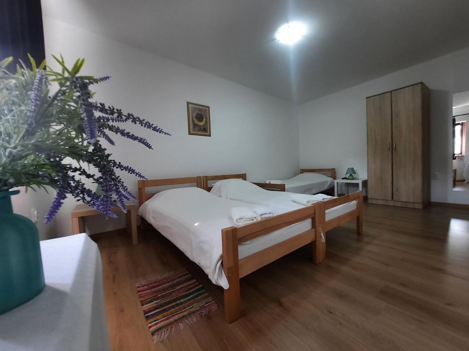Apartmani Sunflower Sremski Karlovci Eksteriør billede