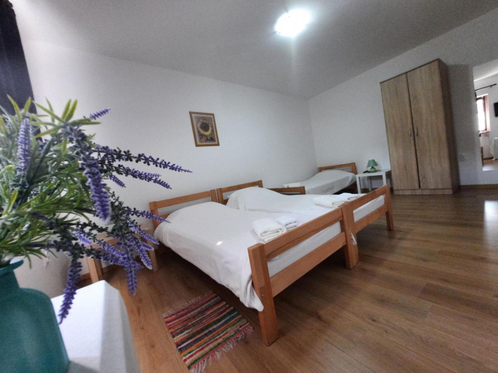 Apartmani Sunflower Sremski Karlovci Værelse billede